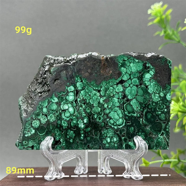 Green Malachite Slice-ToShay.org