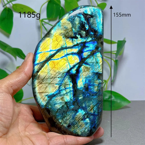 Blue Labradorite Rock-ToShay.org