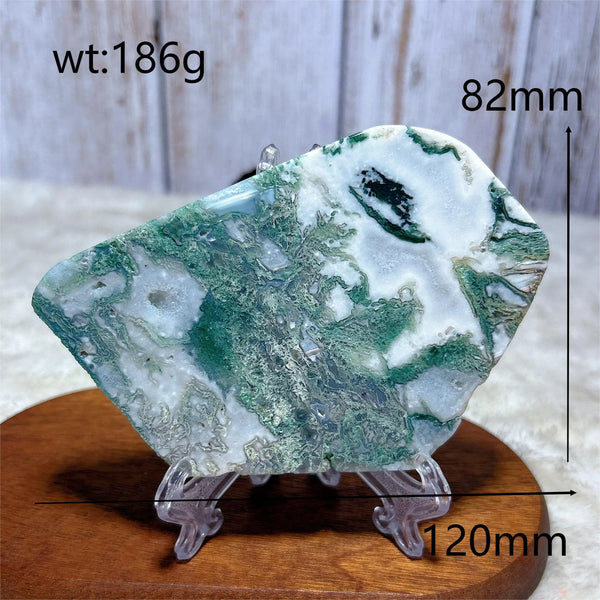 Green Moss Agate Slice-ToShay.org