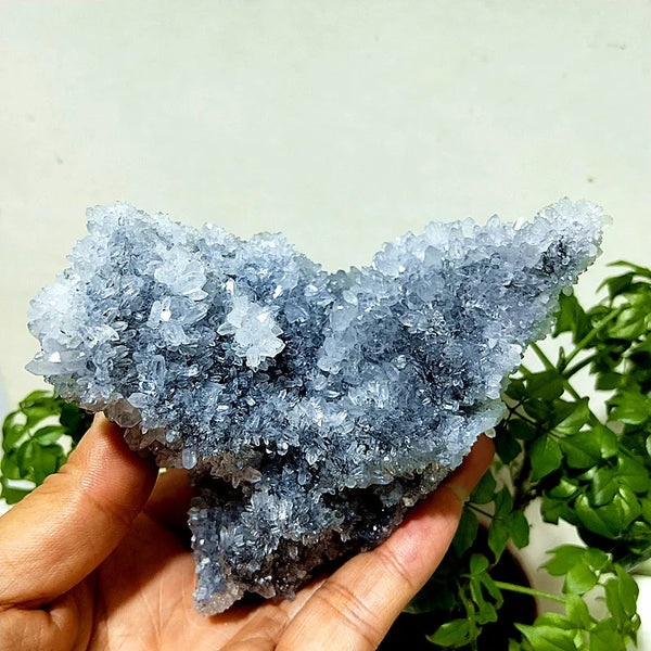 Purple Chrysanthemum Fluorite Crystal-ToShay.org