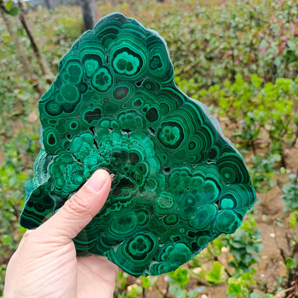 Green Malachite Slice-ToShay.org