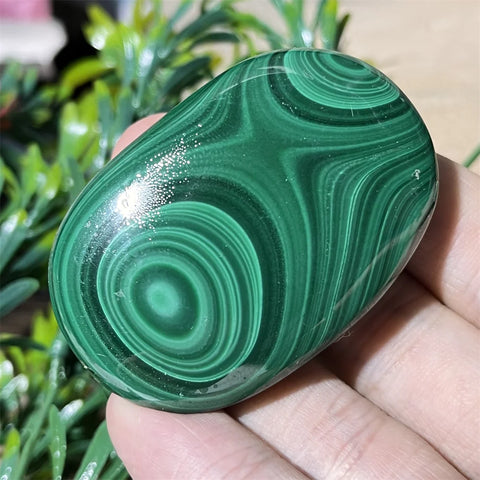 Green Malachite Palm Stone-ToShay.org