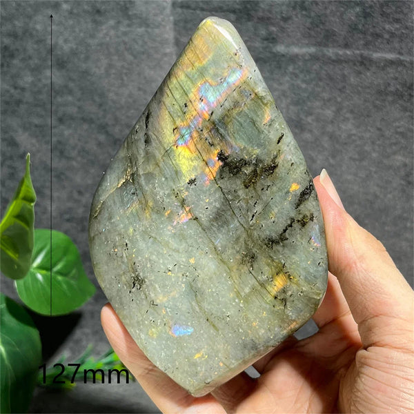 Blue Labradorite Crystal-ToShay.org