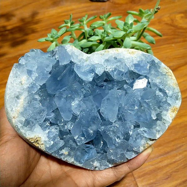 Blue Celestine Geode Crystal-ToShay.org