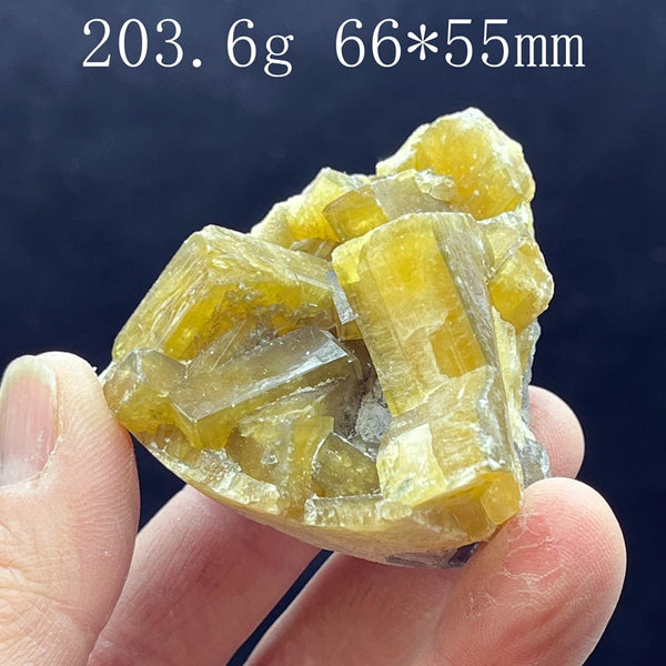 Yellow Diluent Cluster-ToShay.org