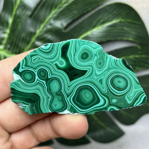 Green Eyes Malachite-ToShay.org