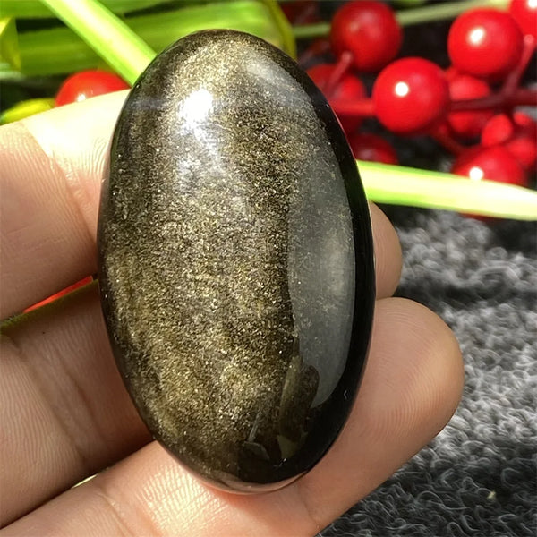 Silver Black Obsidian-ToShay.org