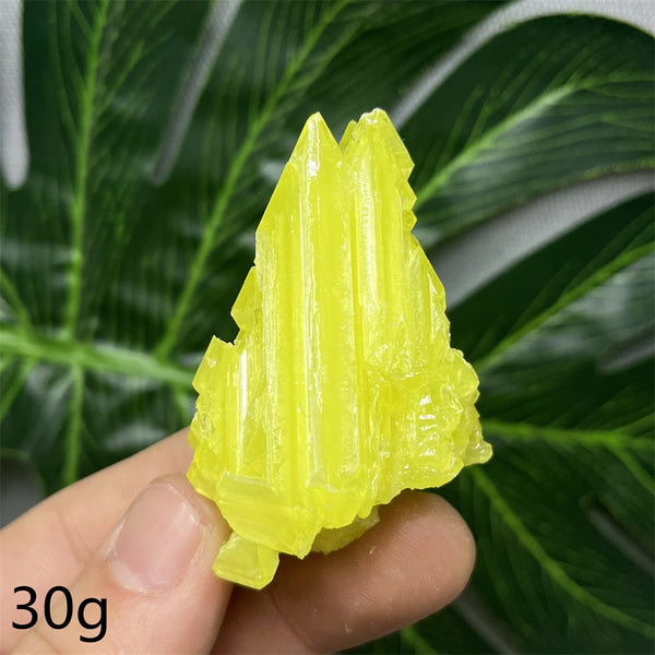 Yellow Sulfur Clusters-ToShay.org