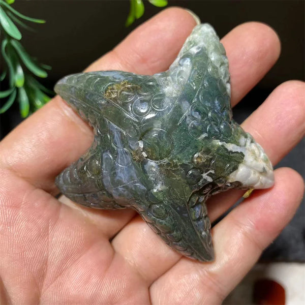 Green Moss Agate Starfish-ToShay.org