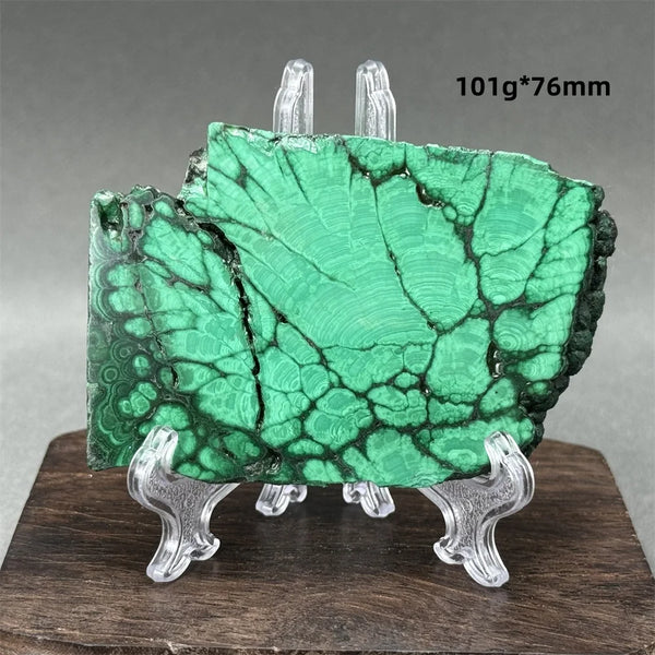 Green Malachite Raw Slice-ToShay.org