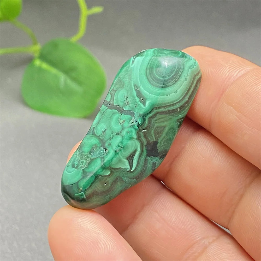 Green Malachite Tumbled Stone-ToShay.org