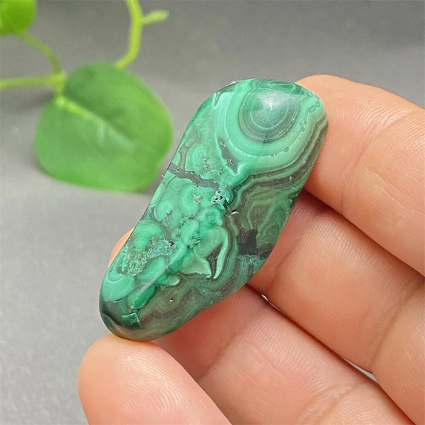 Green Malachite Tumbled Stone-ToShay.org