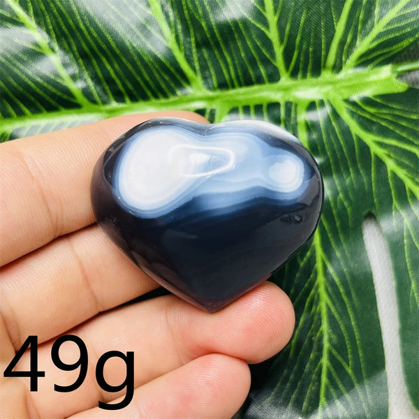 Black White Orca Agate-ToShay.org