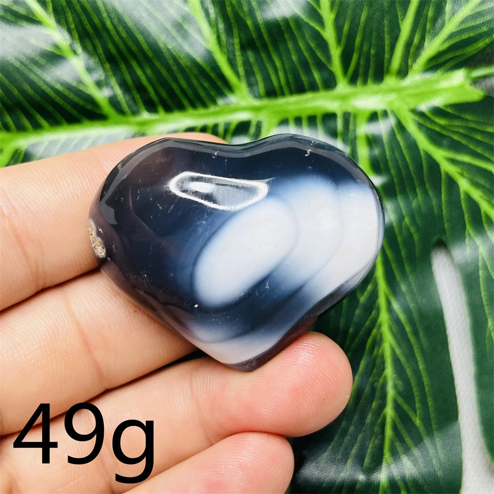 Black White Orca Agate-ToShay.org