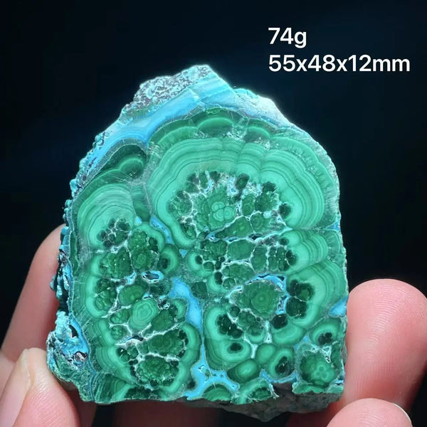Green Chrysocolla Malachite Slice-ToShay.org