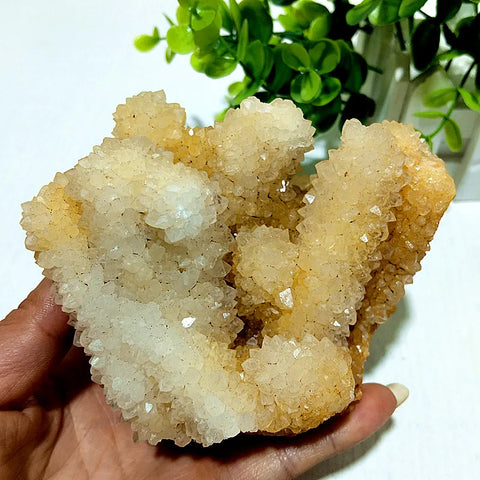 Yellow Agate Finger Crystal Cluster-ToShay.org
