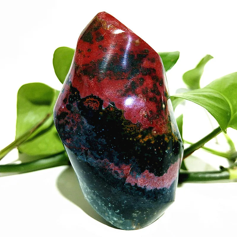 Ocean Jasper Point Flame-ToShay.org
