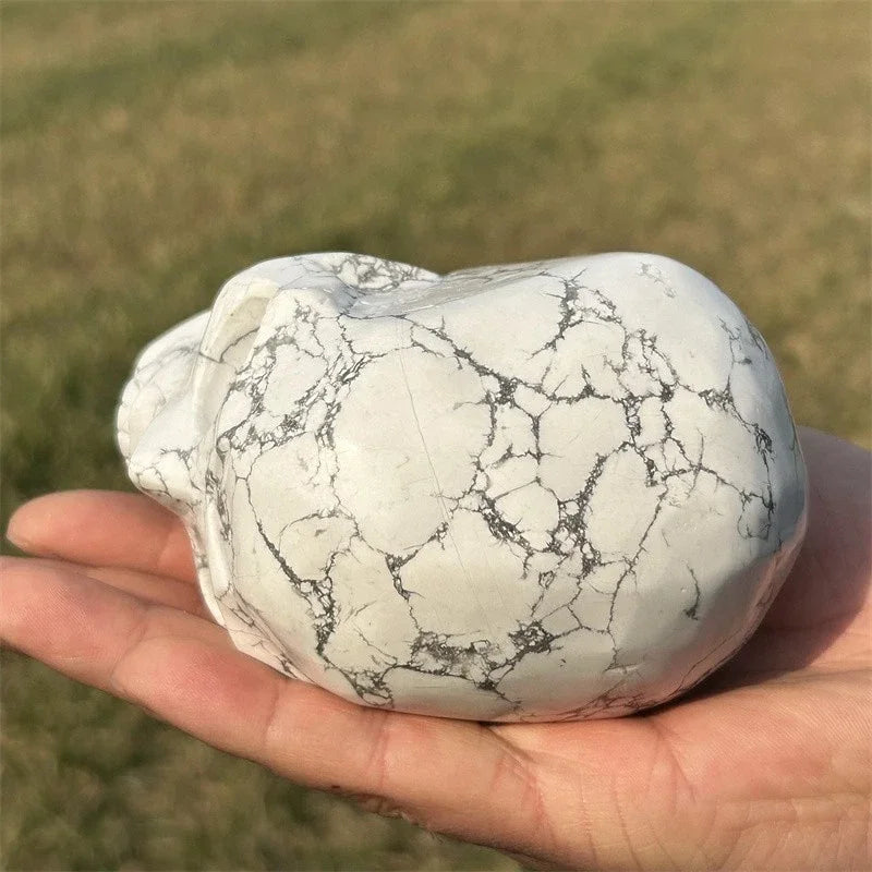 White Howlite Skull-ToShay.org