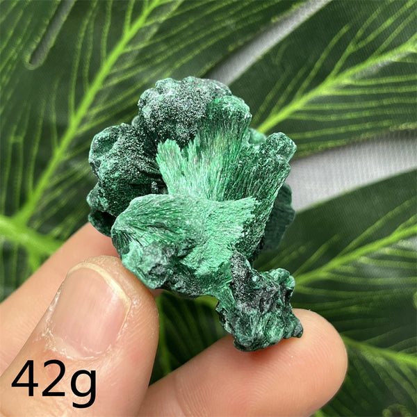 Green Malachite Silk Luster Crystal-ToShay.org