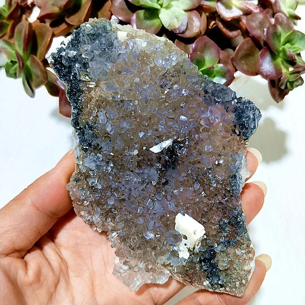 Purple Vision Mineral Crystal-ToShay.org