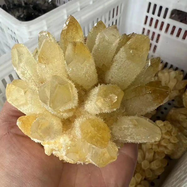 Green Citrine Quartz Crystal Cluster-ToShay.org