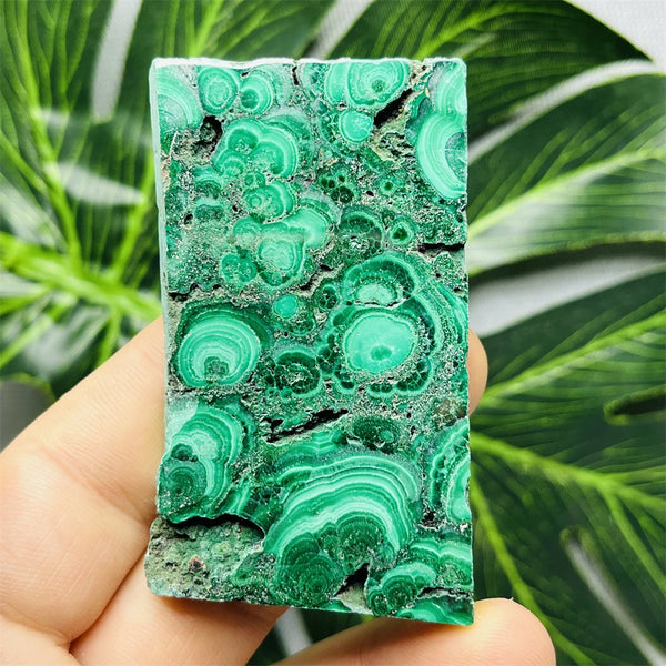 Green Eyes Malachite-ToShay.org