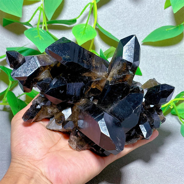 Black Quartz Cluster-ToShay.org
