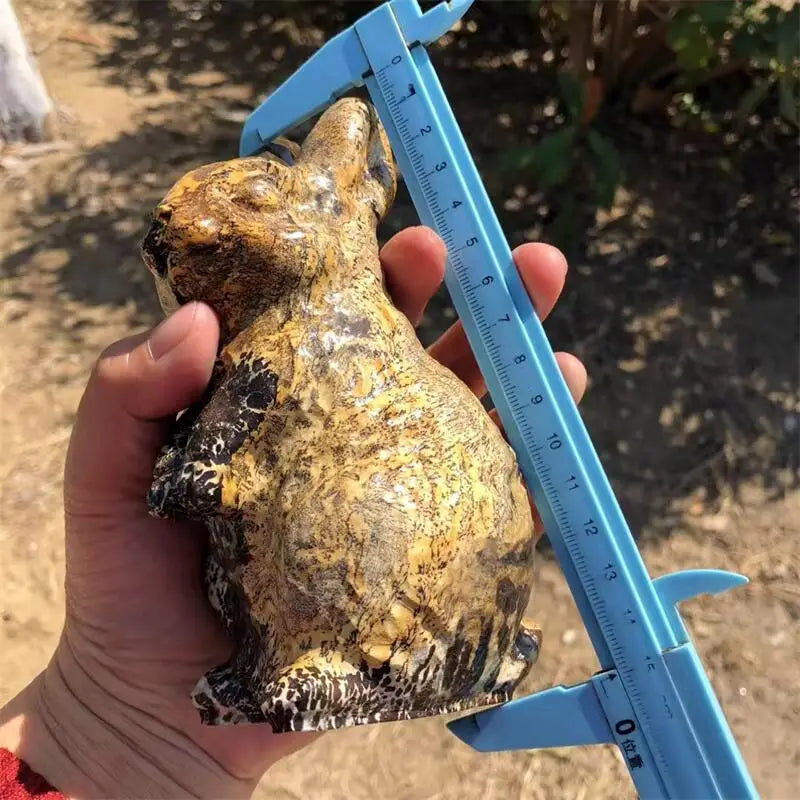 Yellow Pictured Stone Rabbit-ToShay.org