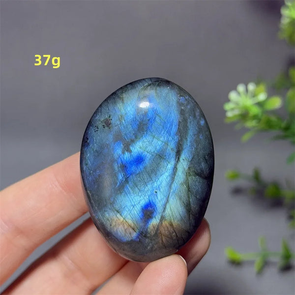 Blue Labrador Palm Stone-ToShay.org