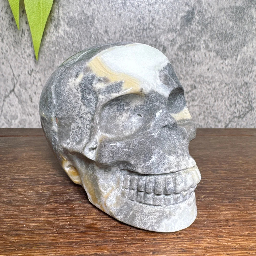 Grey Amzonite Skull-ToShay.org