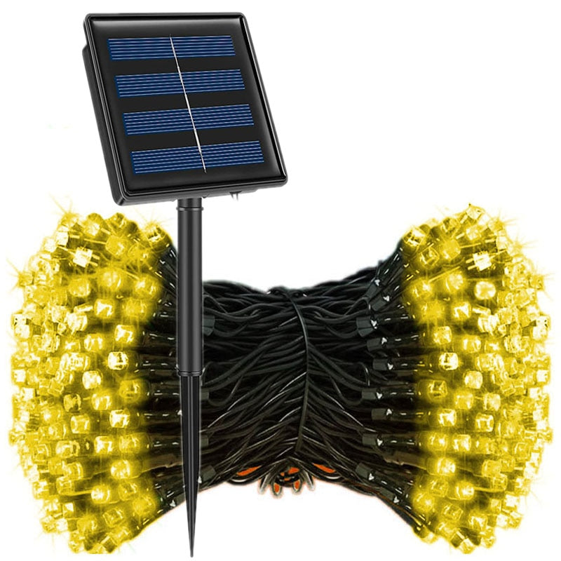 String Fairy Lights-ToShay.org