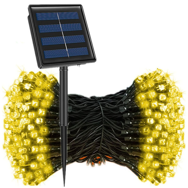 String Fairy Lights-ToShay.org