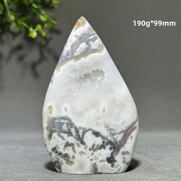 Green Aquatic Plant Agate-ToShay.org