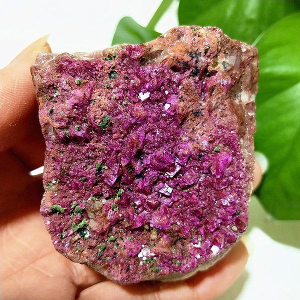 Pink Cobaltocalcite Raw Rock-ToShay.org