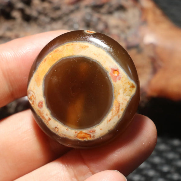 Tibetan Agate Eyes Dzi-ToShay.org