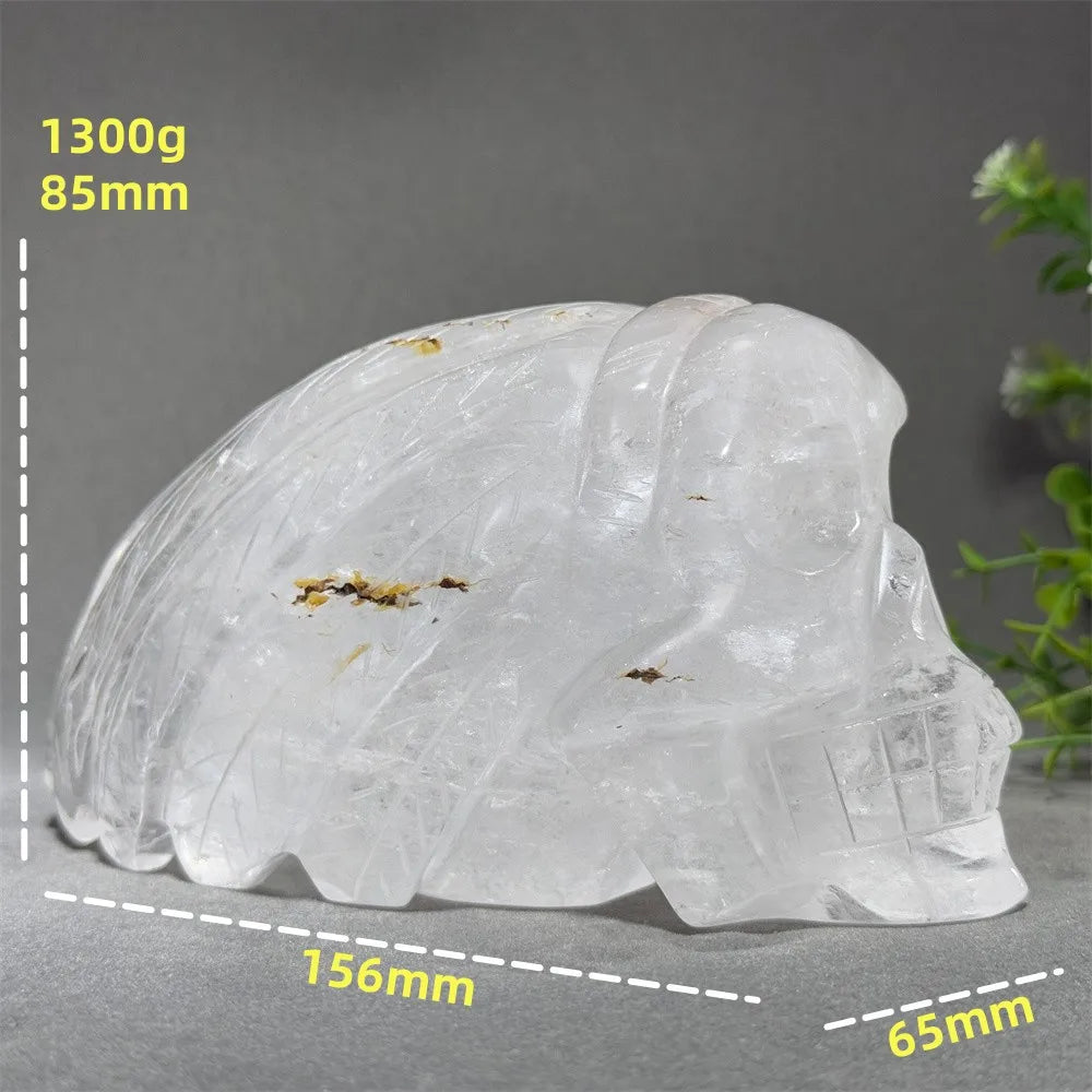 Clear Crystal Feather Skull-ToShay.org