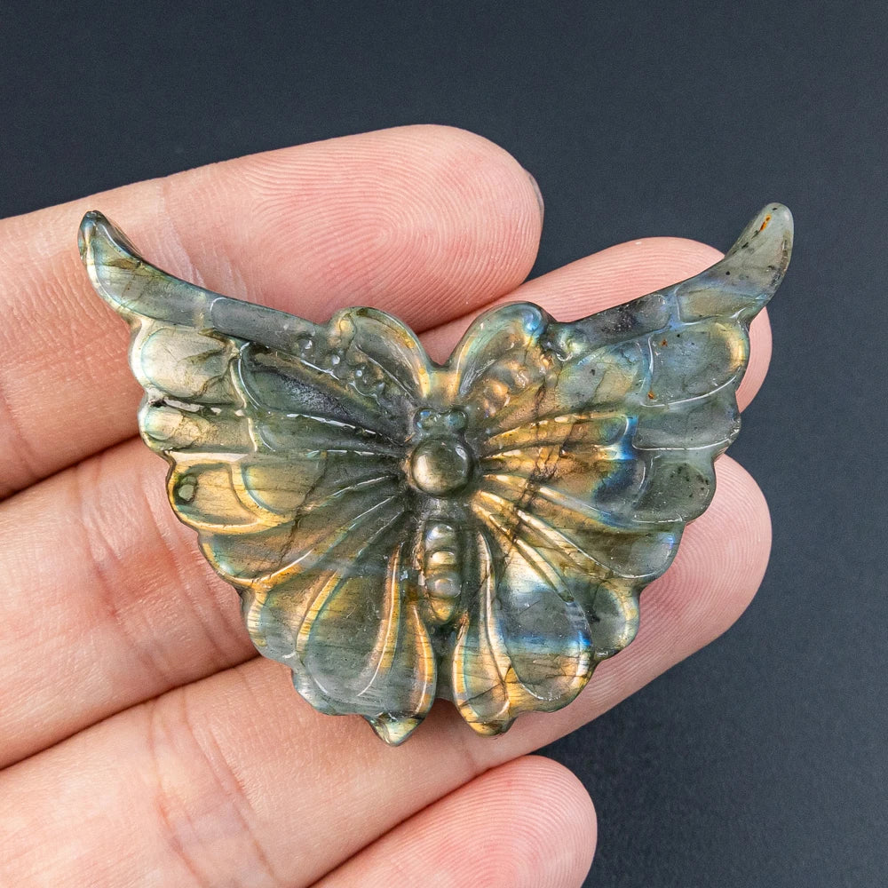 Blue Labradorite Butterfly-ToShay.org