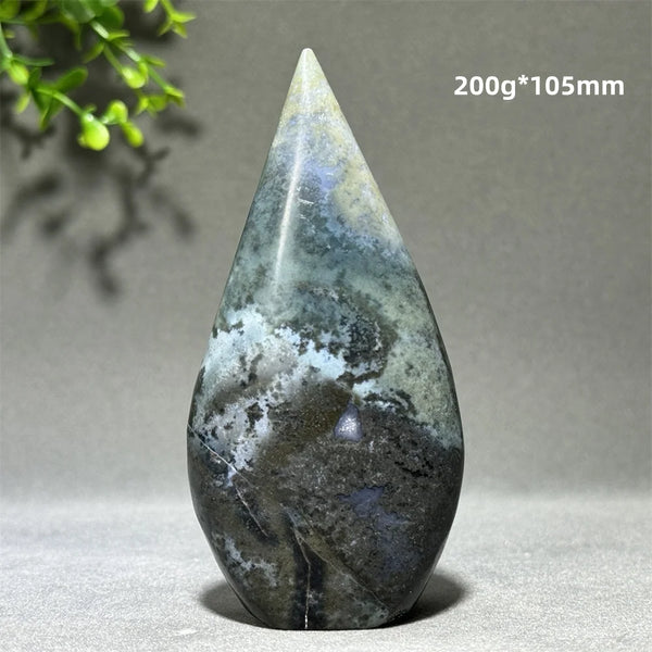 Green Aquatic Plant Agate-ToShay.org