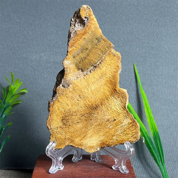 Yellow Hair Agate Slab-ToShay.org