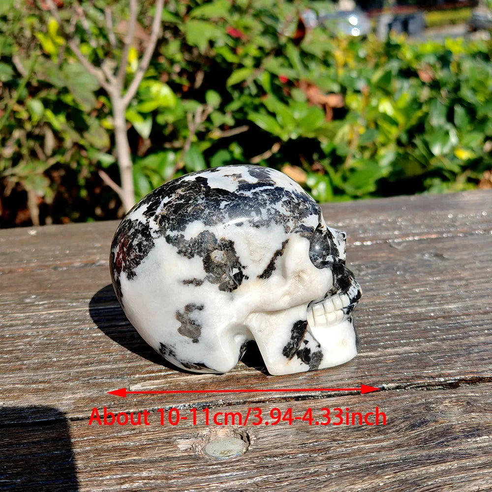 Black White Zebra Jasper Skull-ToShay.org