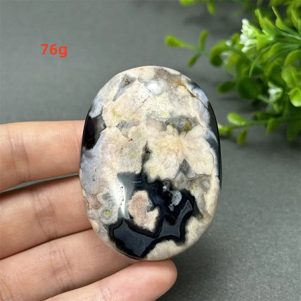 Black Cherry Blossom Agate-ToShay.org