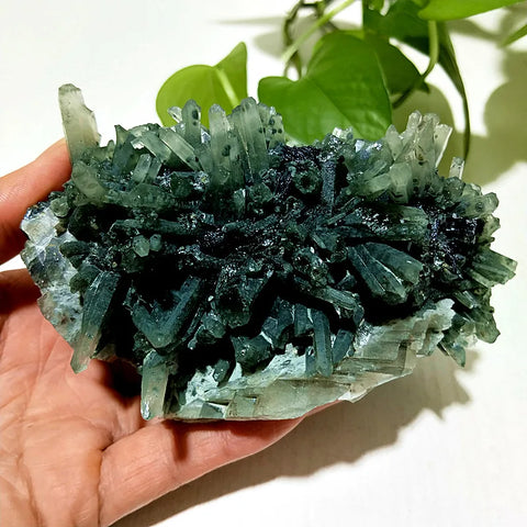 Green Epidote Crystal Cluster-ToShay.org