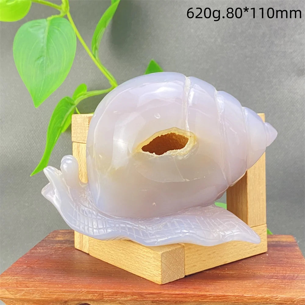 Grey Agate Geode Snail-ToShay.org