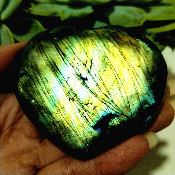 Blue Labrador Stone Heart-ToShay.org