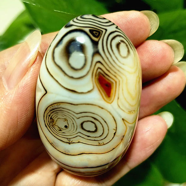 Red Lace Sardonyx Agate-ToShay.org