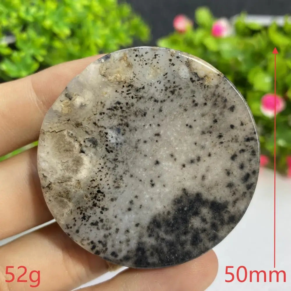 Black Agate Slice-ToShay.org