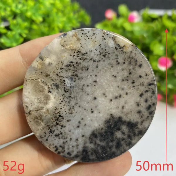Black Agate Slice-ToShay.org