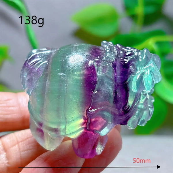 Rainbow Fluorite Dragon Turtle-ToShay.org