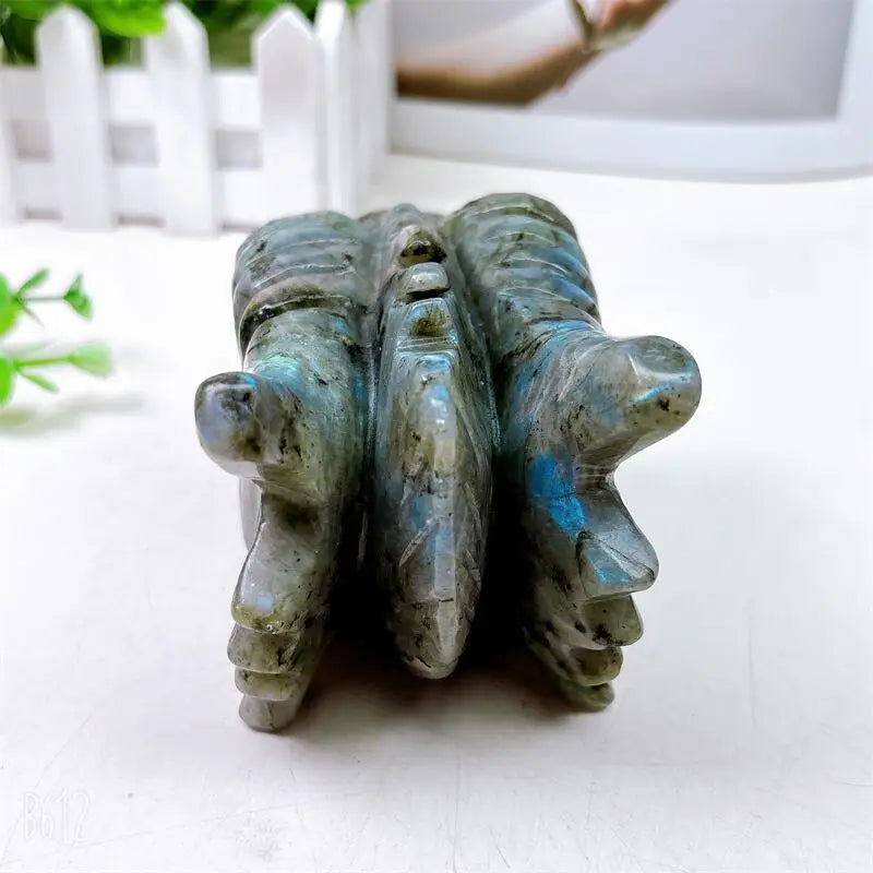 Black Labradorite Dragon Skull-ToShay.org