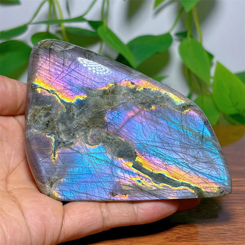 Purple Labradorite Crystal-ToShay.org